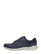 Ecco - Irving Lace