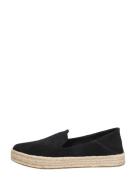 Toms - Carolina