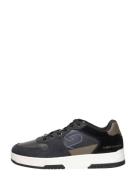 Cruyff - Royal C+