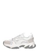 Steve Madden - Animates