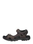 Ecco - Offroad
