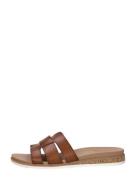Skechers - Bobs Desert Kiss Low - Peak Look