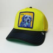 Gele Doggy Trip Trucker Cap Goorin Bros , Yellow , Unisex
