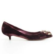 Pre-owned Velvet heels Dolce & Gabbana Pre-owned , Purple , Dames