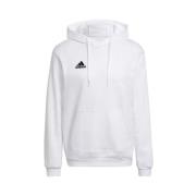 Heren Entrada 22 Sweatshirt Adidas , White , Heren