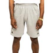 Bermuda Cortery Grace Short Kappa , Gray , Heren