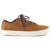 Sneakers Timberland , Brown , Heren