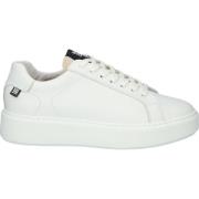 Xl21 White - LOW Sneaker Blackstone , White , Dames