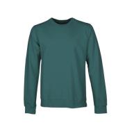 Sweatshirt Colorful Standard , Green , Heren