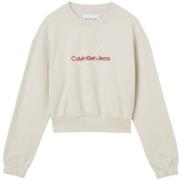 Beige Truien Calvin Klein , Beige , Dames