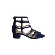 Pre-owned Leather sandals Jimmy Choo Pre-owned , Blue , Dames