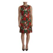 Lente Bloemen A-Lijn Jurk Dolce & Gabbana , Multicolor , Dames