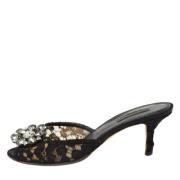 Pre-owned Lace sandals Dolce & Gabbana Pre-owned , Black , Dames