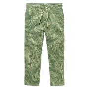 Groene Terry Long Pant OAS , Green , Heren