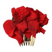 Rode Zijden Bloemen Haarkam Dolce & Gabbana , Red , Dames