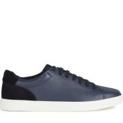 Blauwe Sneakers voor Mannen Geox , Blue , Heren