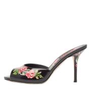 Pre-owned Leather sandals Dolce & Gabbana Pre-owned , Black , Dames