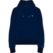 Hoodie met Logo Borduursel Tommy Hilfiger , Blue , Heren