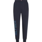 Blauwe Sport Joggers Regular Fit Tommy Hilfiger , Blue , Heren