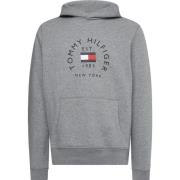 Grijze Sweater met Felpa Stijl Tommy Hilfiger , Gray , Heren