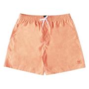 Wayford Shorts DC Shoes , Orange , Heren