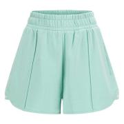 Modieuze Dames Shorts Guess , Green , Dames