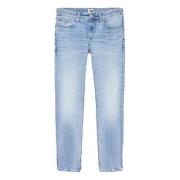 Scanton Jeans Tommy Hilfiger , Blue , Heren