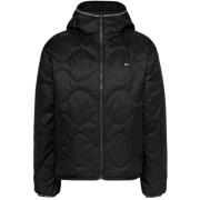 Zwarte Donsjas met Capuchon Tommy Hilfiger , Black , Dames