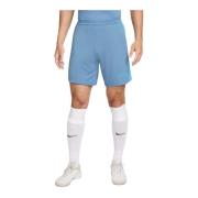 Sportieve Dri-Fit Heren Shorts Nike , Blue , Heren