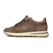 Taupe Heren Sneakers 57892 Giorgio , Brown , Heren