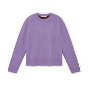 Modieuze Sweater voor Vrouwen Maliparmi , Purple , Dames