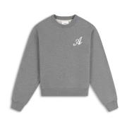 Strand Sweatshirt Axel Arigato , Gray , Dames