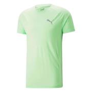 Evostripe T-shirt Puma , Green , Heren