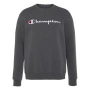 Hoodie Champion , Gray , Heren