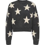 Sterrennacht Sweater Tommy Jeans , Gray , Dames