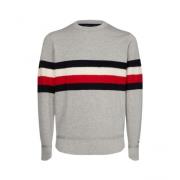 Gestreepte Fronttrui Tommy Hilfiger , Gray , Heren