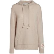 Stijlvolle Heren Hoodie Golden Goose , Beige , Heren