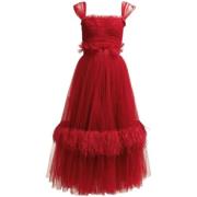 Pre-owned Tulle dresses Dolce & Gabbana Pre-owned , Red , Dames