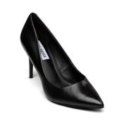 Zwarte Leren Lillie Pump - Basic Favoriet Steve Madden , Black , Dames