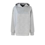 Grijze Katoenen Hoodie met Voorprint Max Mara Studio , Gray , Dames