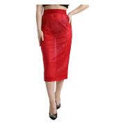 Midi Skirts Dolce & Gabbana , Red , Dames