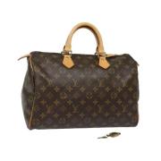 Pre-owned Canvas handbags Louis Vuitton Vintage , Brown , Dames