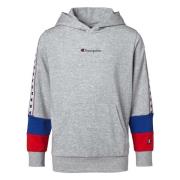 Hoodie Champion , Gray , Heren