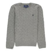 Grijze Sweaters Ralph Lauren , Gray , Heren