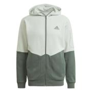 Essentials 4 Gameday Hoodie Adidas , Green , Heren