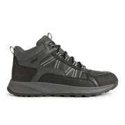 Stijlvolle Terrestre Schoenen Geox , Gray , Heren