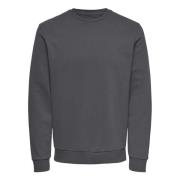 Ceres Sweatshirt Casual Comfort Mannen Only & Sons , Gray , Heren