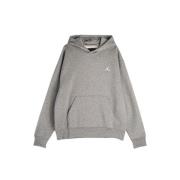 Brooklyn Fleece Hoodie Jordan , Gray , Heren