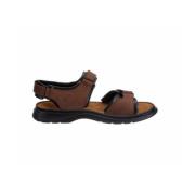 Bruine Sandalen Josef Seibel , Brown , Heren