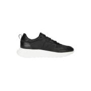 Geveterde lage sneakers met logo Roberto Cavalli , Black , Heren